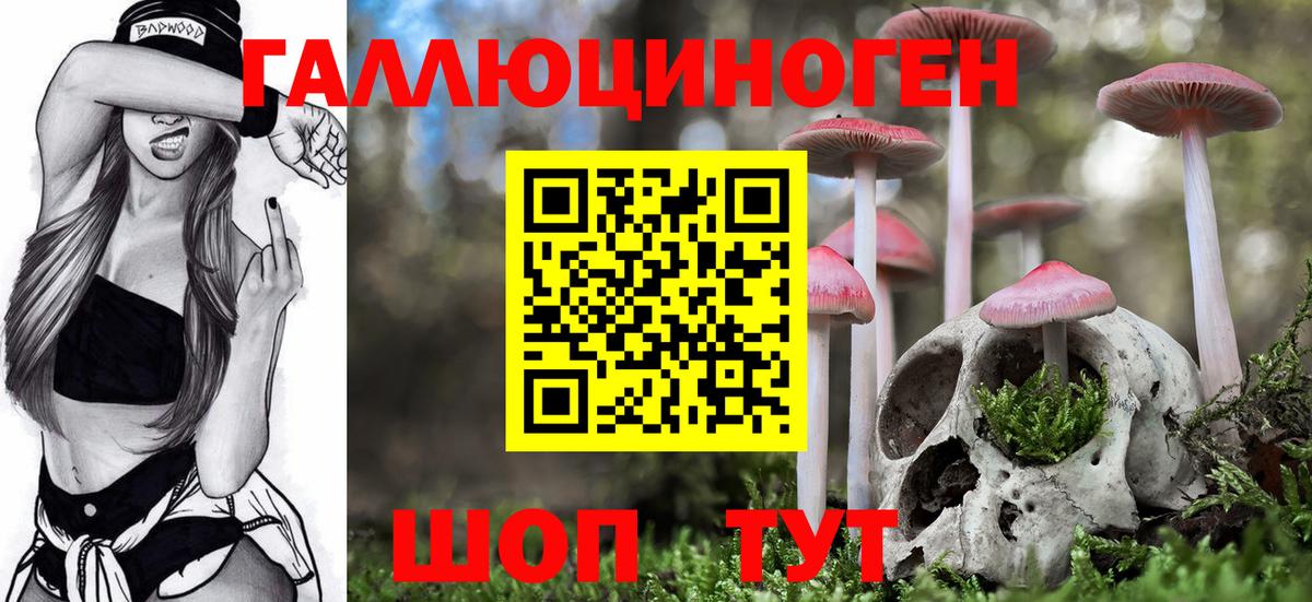 Галлюциногенные грибы GOLDEN TEACHER Богданович